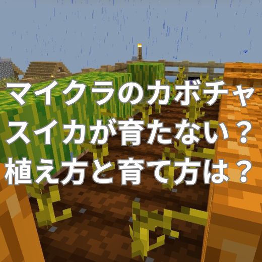 マイクラのカボチャやスイカが育たない？植え方と育て方は？