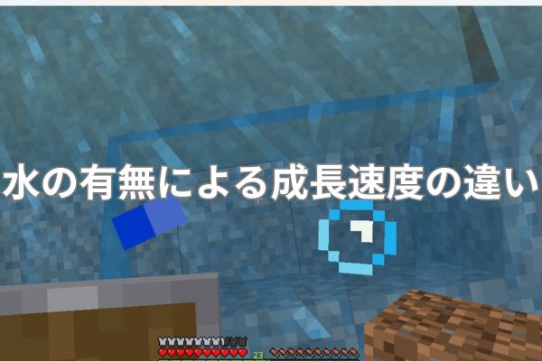 水の有無による成長速度の違い