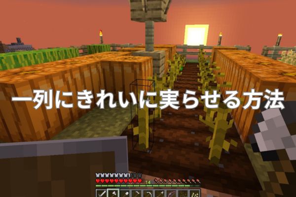 一列にきれいに実らせる方法