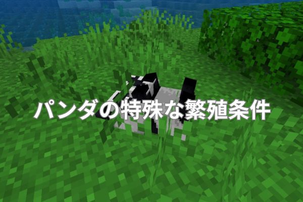 パンダの特殊な繁殖条件