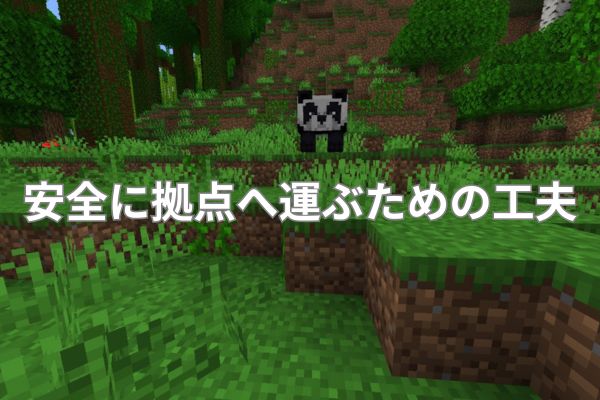 安全に拠点へ運ぶための工夫