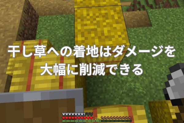 干し草への着地はダメージを大幅に削減できる