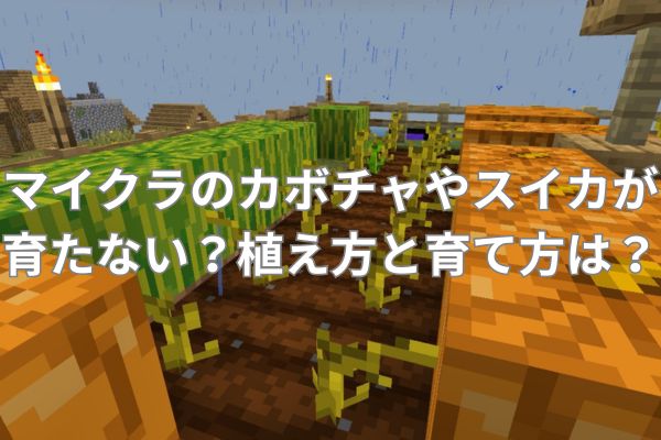 マイクラのカボチャやスイカが育たない？植え方と育て方は？