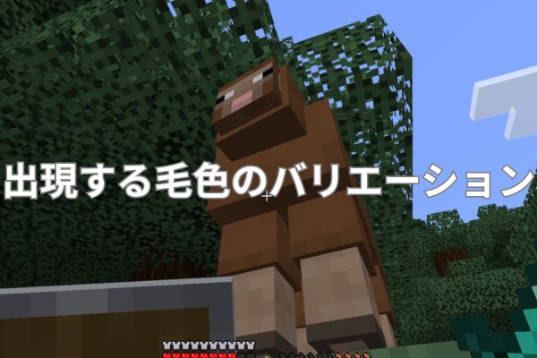 出現する毛色のバリエーション