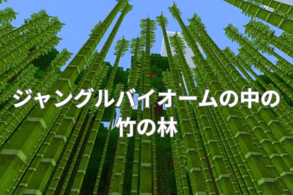 ジャングルバイオームの中の竹の林