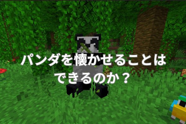 パンダを懐かせることはできるのか?