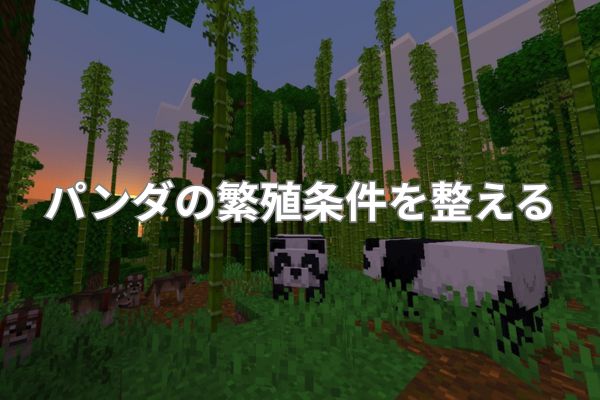 パンダの繁殖条件を整える