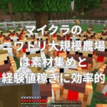 マイクラのニワトリ大規模農場は素材集めと経験値稼ぎに効率的