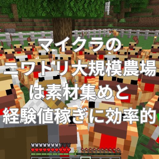 マイクラのニワトリ大規模農場は素材集めと経験値稼ぎに効率的