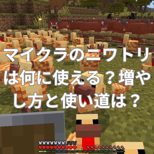 マイクラのニワトリは何に使える？増やし方と使い道