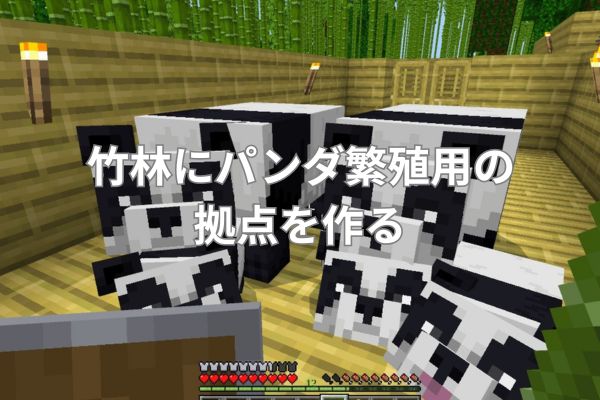 竹林にパンダ繁殖用の拠点を作る